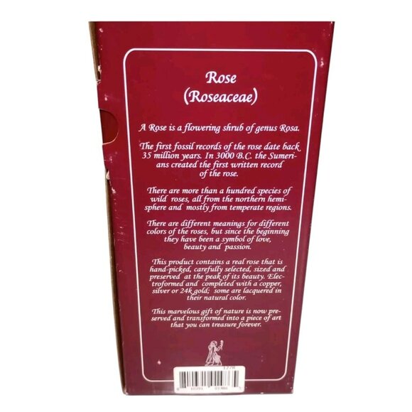 24k Gold Trim Red Rose & Small Bud Vase Set Lacquer Dipped - Picture 5 of 9